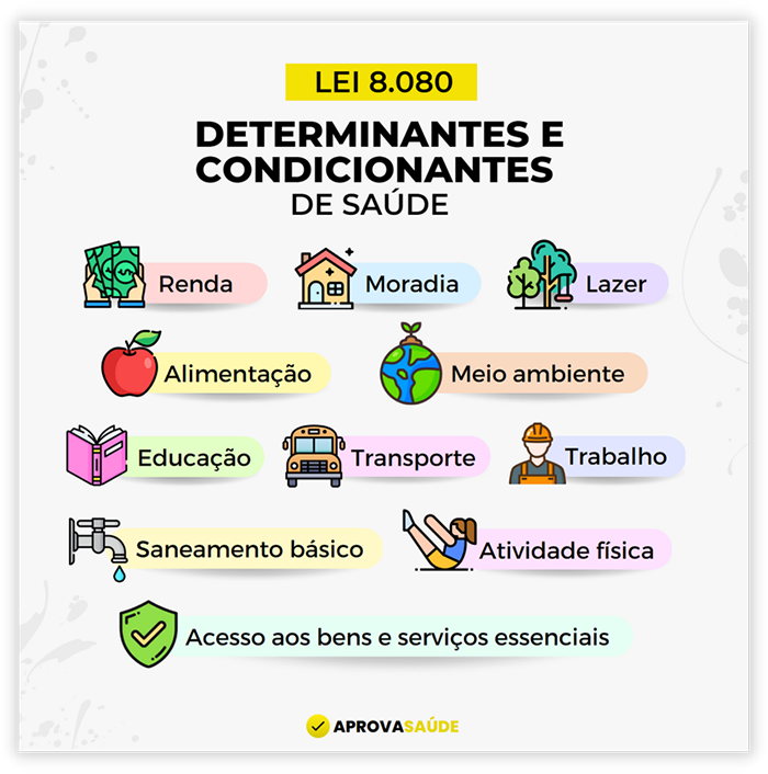 Cards (10)